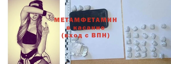 прущие грибы Верхний Тагил