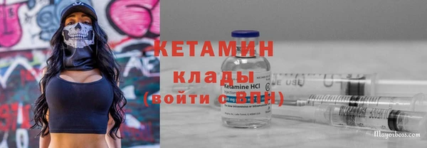 прущие грибы Верхний Тагил