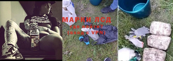 прущие грибы Верхний Тагил