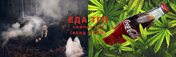 прущие грибы Верхний Тагил