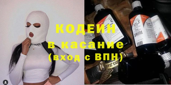 прущие грибы Верхний Тагил