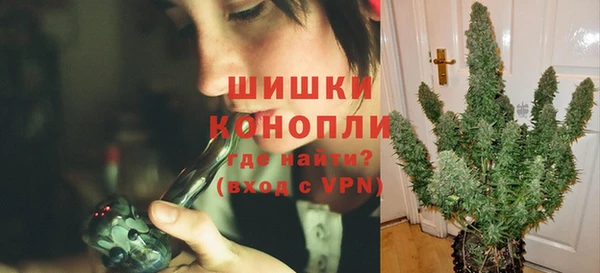 сатива Волоколамск